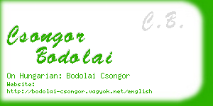 csongor bodolai business card